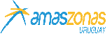 Logo FlyAfrica