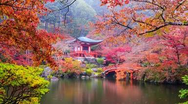 Japón con Visitas - Grandes Viajes Japón con Visitas - Grandes Viajes