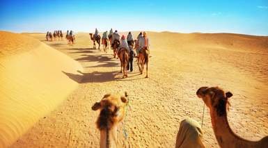 Marruecos: Mil Kasbahs + Sur Marruecos: Mil Kasbahs + Sur