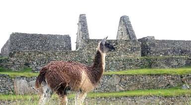 Perú Inca y Colonial al Completo Perú Inca y Colonial al Completo