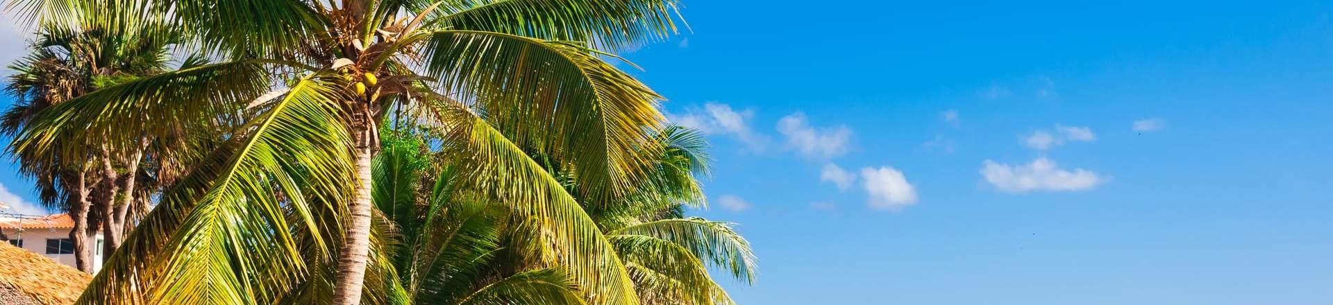 Bayahibe en Todo Incluido 