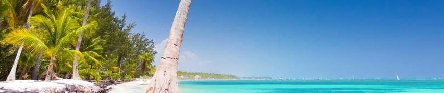 Punta Cana en Todo Incluido