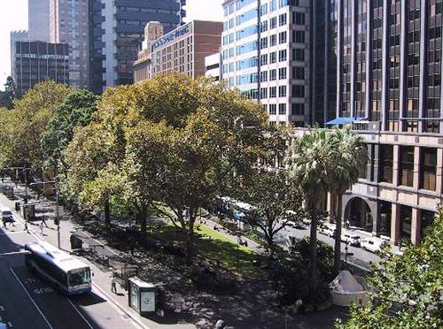 Hotel Sydney City Centre Carrington