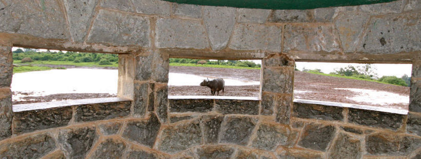 Hotel The Ark Nyeri
