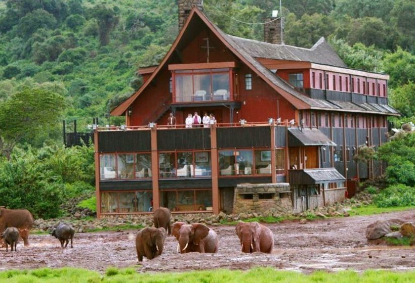 Hotel The Ark Nyeri
