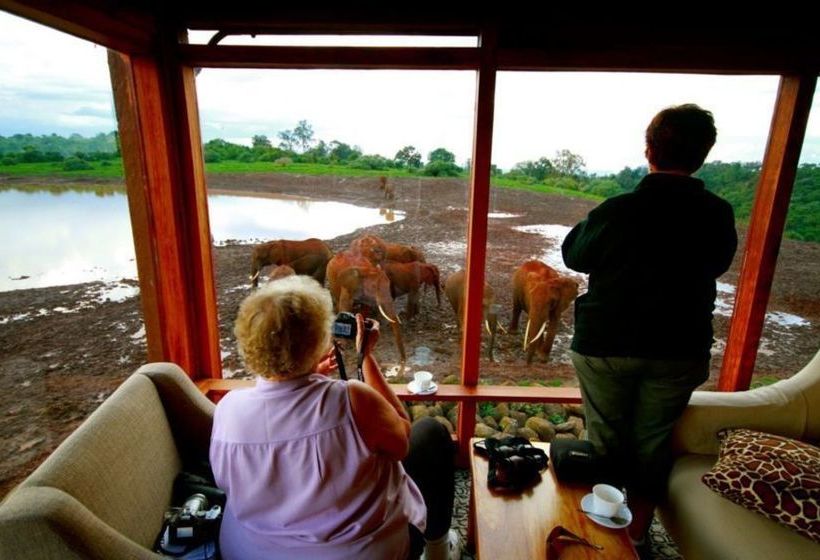 Hotel The Ark Nyeri
