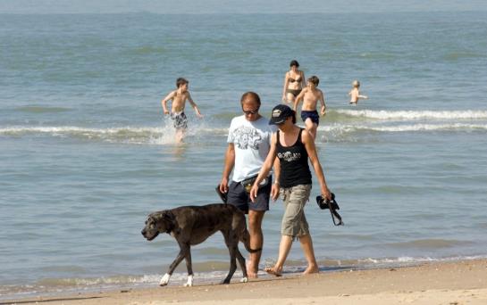 Hotel Bad De Wielingen Cadzand