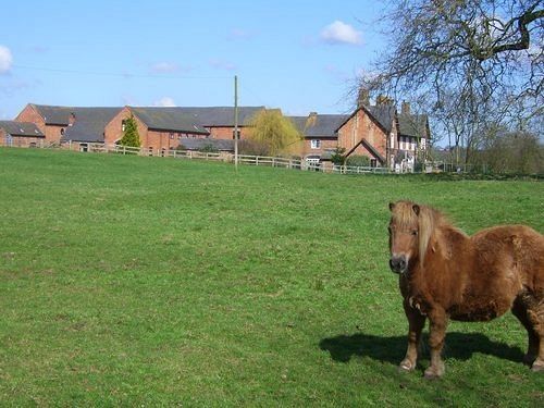 Hotel Offley Grove Farm Eccleshall