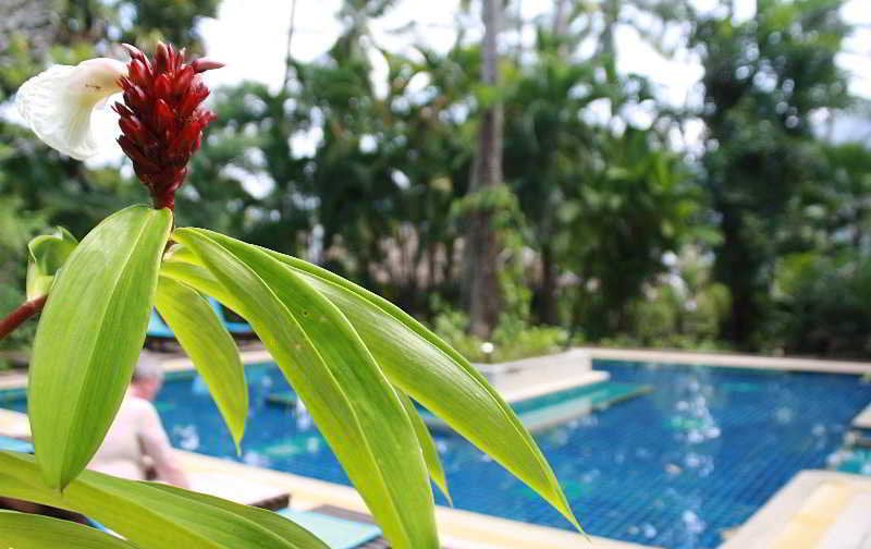 Tropical Herbal Spa & Resort Ao Nang