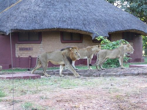 호텔 Mushroom Lodge Chipata