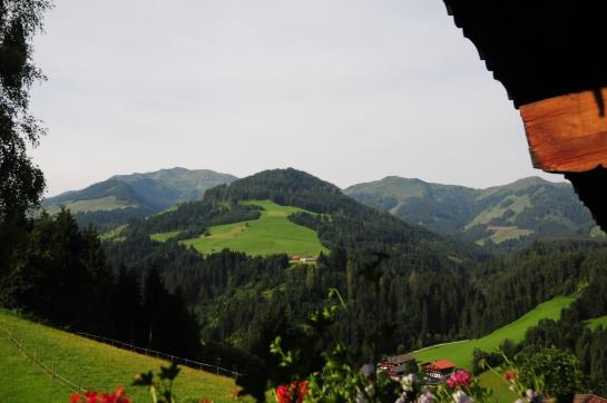 Bauernhof Vorderaltensberg Wildschönau